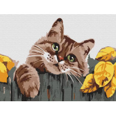 Картина по номерам Molly Мяу, 15x20