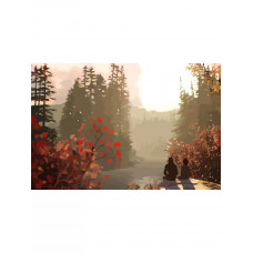 Картина по номерам Бруталити Life is Strange 2 осенний пейзаж 2 см Картина по номерам Бруталити Life is Strange 2 осенний пейзаж 2 см