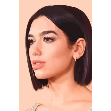 Живопись по номерам Бруталити музыка Dua Lipa - 6797 В
