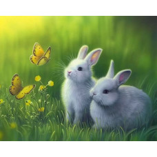 Картина по номерам Paintboy (Premium) «Кролики в траве», VA-0307
