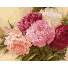 Картина по номерам Цветной Пионы, 40x50