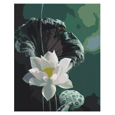 Лилия