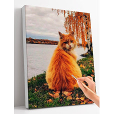 Рыжий кот