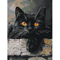 Картина по номерам на холсте на подрамнике черный кот "Тайные Глаза", 43 x 34 см. Картина по номерам на холсте на подрамнике черный кот "Тайные Глаза", 43 x 34 см.