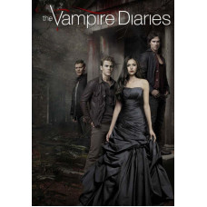 Картина по номерам на холсте с без подрамником 40х60cm / Праздничные подарки / The Vampire Diaries Картина по номерам на холсте с без подрамником 40х60cm / Праздничные подарки / The Vampire Diaries