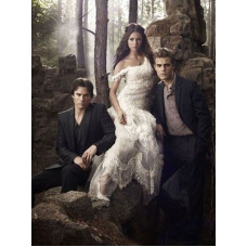 Картина по номерам на холсте с без подрамником 40х60cm / Праздничные подарки / The Vampire Diaries Картина по номерам на холсте с без подрамником 40х60cm / Праздничные подарки / The Vampire Diaries