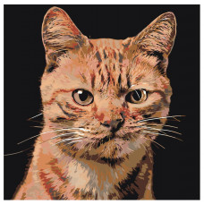 Картина по номерам, 40 x 40, A207, рыжий, кот, животное, эмоции, возмущение, взгляд Картина по номерам, 40 x 40, A207, рыжий, кот, животное, эмоции, возмущение, взгляд